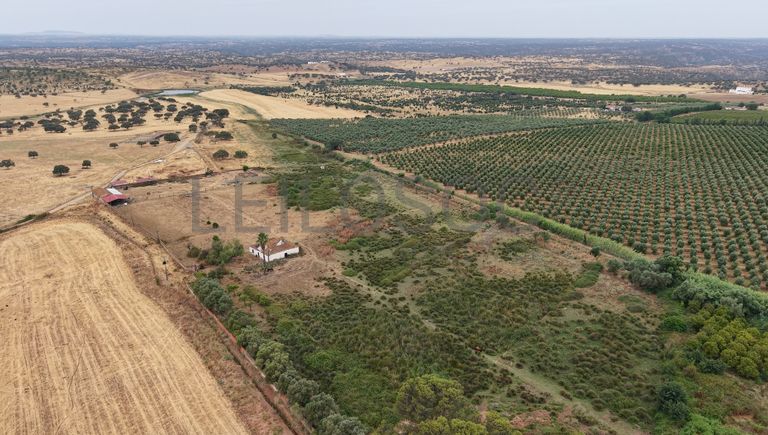 Herdade do Topo · "Monte Junqueira" · 7,4 hectares · Serpa 