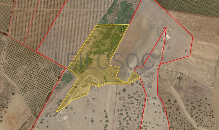 Herdade do Topo · "Monte Junqueira" · 7,4 hectares · Serpa 