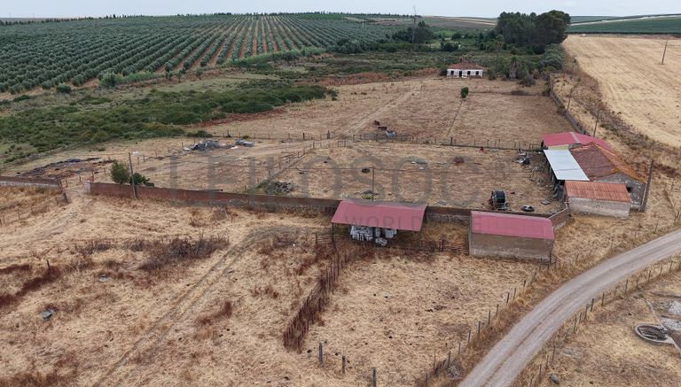 Herdade do Topo · "Monte Junqueira" · 7,4 hectares · Serpa 