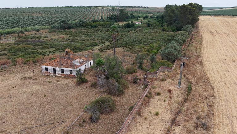 Herdade do Topo · "Monte Junqueira" · 7,4 hectares · Serpa 