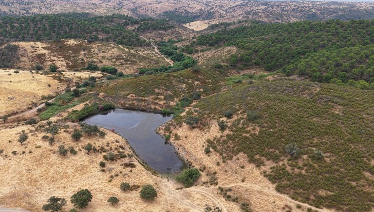 Herdade do Topo · Montes da Janeila e Junqueira · Serpa