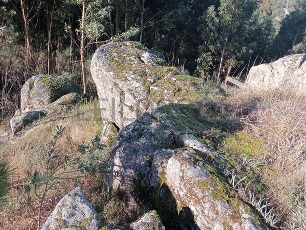 Terrenos e Meações de Terrenos · Carvalho de Rei, Amarante