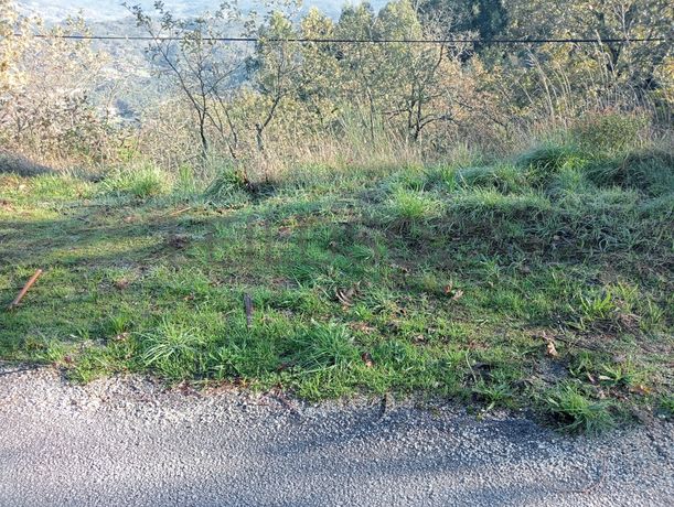 Terrenos e Meações de Terrenos · Carvalho de Rei, Amarante