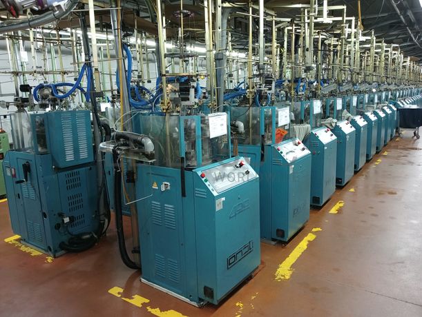 Teares Circulares Collants