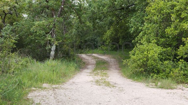 Terreno com 2.600,00 m² · Juncal, Porto de Mós