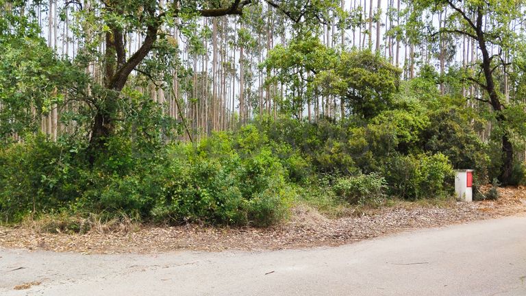 Terreno com 1.880,00 m² · Pedreiras, Porto de Mós