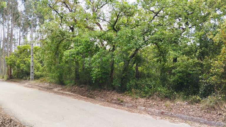 Terreno com 1.880,00 m² · Pedreiras, Porto de Mós