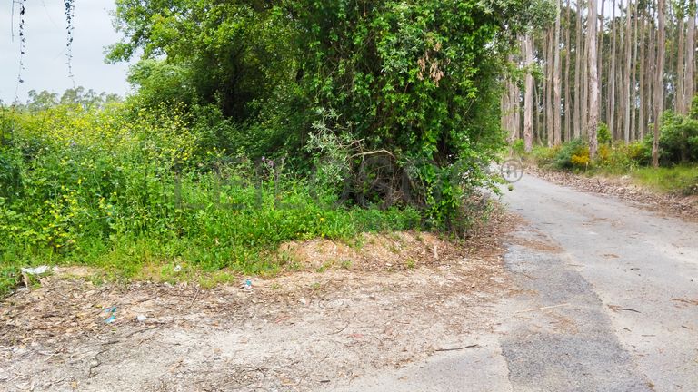 Terreno com 1.880,00 m² · Pedreiras, Porto de Mós