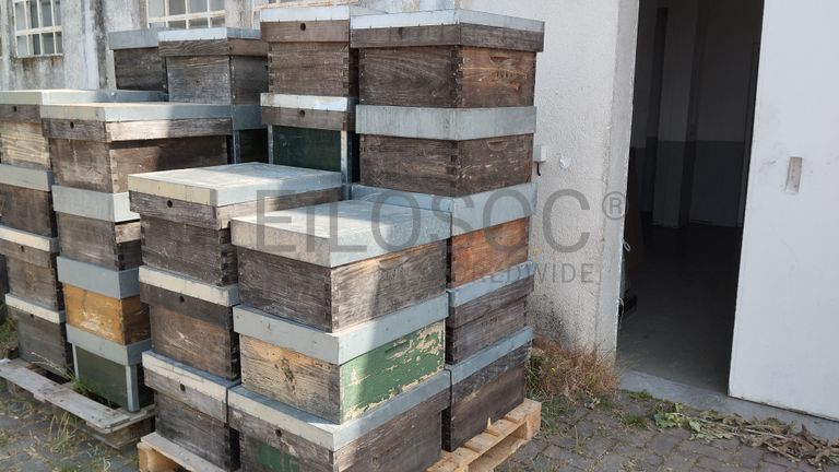 Equipamentos para o Setor de Apicultura