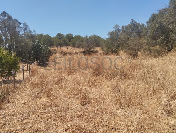 Proporção de 1/6 de Terreno com 750 m² · Mértola