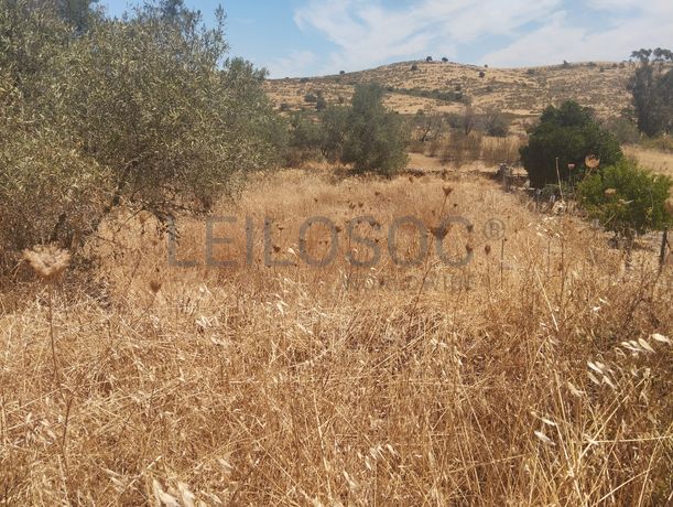 Proporção de 1/6 de Terreno com 750 m² · Mértola