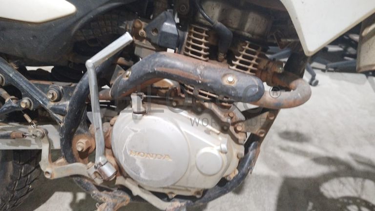 Motorizada
