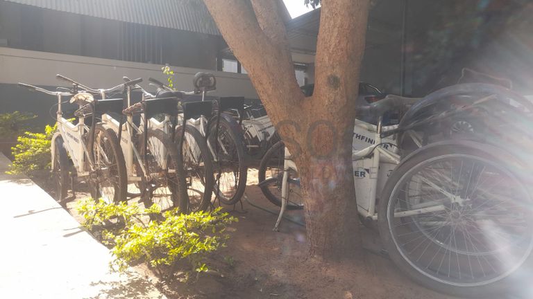 Bicicletas