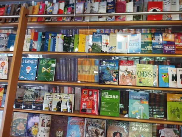 Livros Didáticos e Escolares