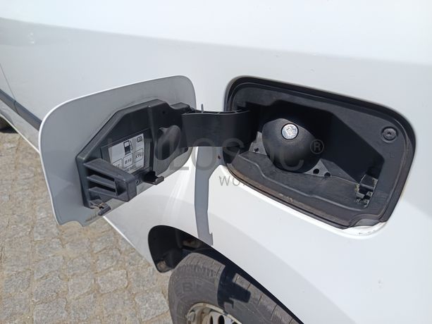Renault Kangoo · Ano 2020