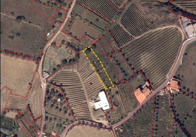 Terrenos · Sande, Lamego