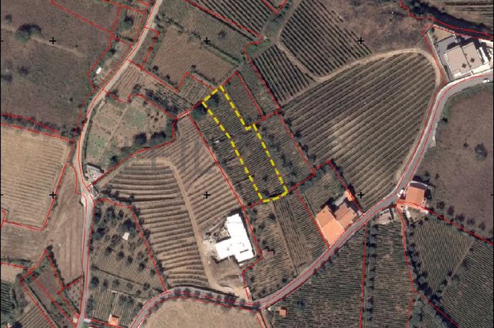 Terrenos · Sande, Lamego