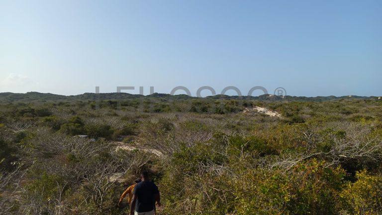 Infraestruturas em terreno com 5 hectares