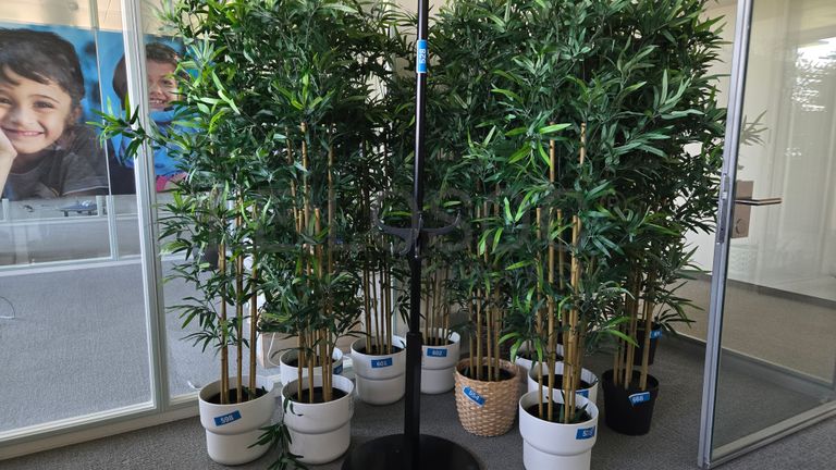 Salon d’attente décoratif avec mobilier et plantes