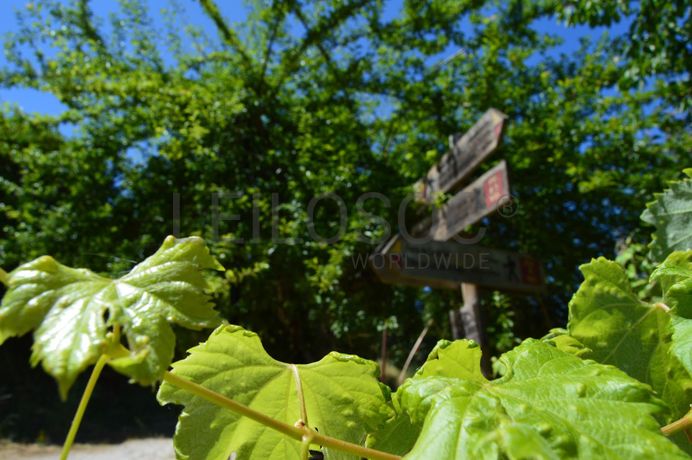 Aldeia Histórica de Póvoa Dão · Silgueiros, Viseu