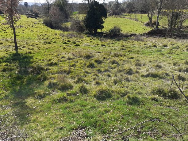 Quinhão Hereditário · Pena Verde, Aguiar da Beira