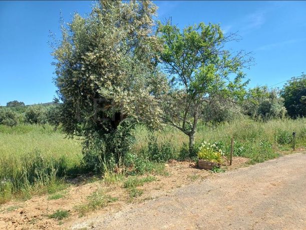 Terreno Rústico com 12.880 m² · Ferreira do Zêzere