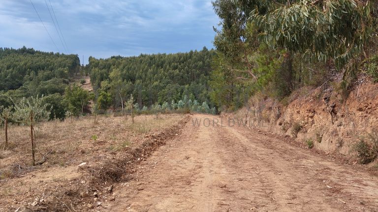 Terreno com 4.700 m² · Igreja Nova do Sobral, Ferreira do Zêzere