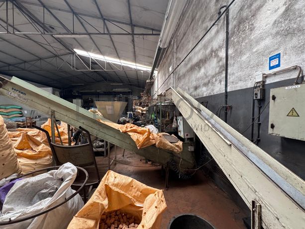 Tapetes Transportadores