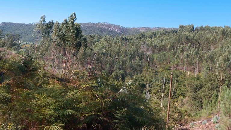 Quinhão Hereditário · Aguda, Figueiró dos Vinhos
