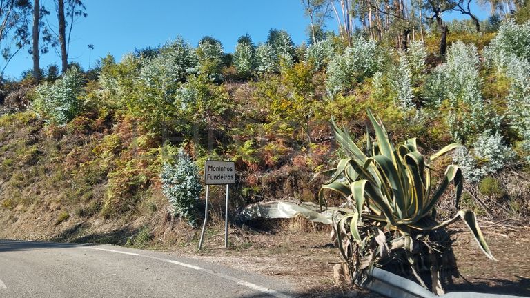 Quinhão Hereditário · Aguda, Figueiró dos Vinhos