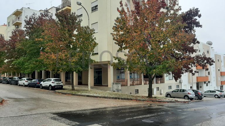 Loja · Torres Novas, Santarém