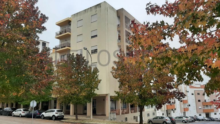 Loja · Torres Novas, Santarém