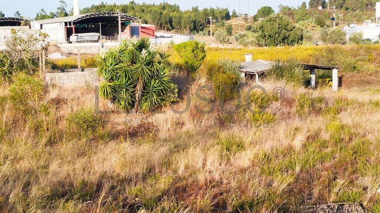 Proporção 1/3 de Terreno · Asseiceira, Tomar