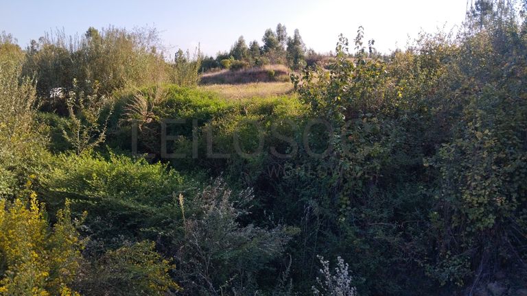 Proporção 1/3 de Terreno · Asseiceira, Tomar