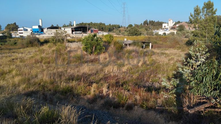 Proporção 1/3 de Terreno · Asseiceira, Tomar