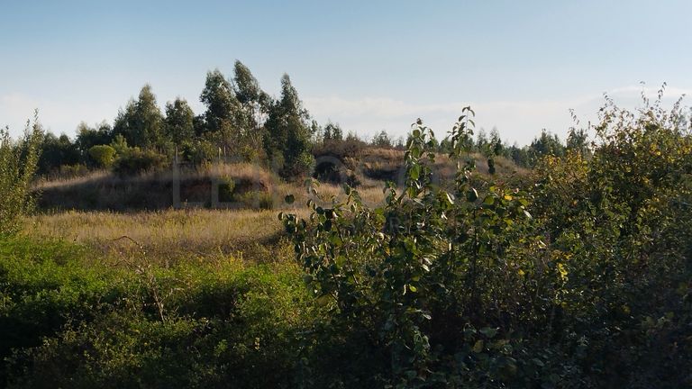 Proporção 1/3 de Terreno · Asseiceira, Tomar