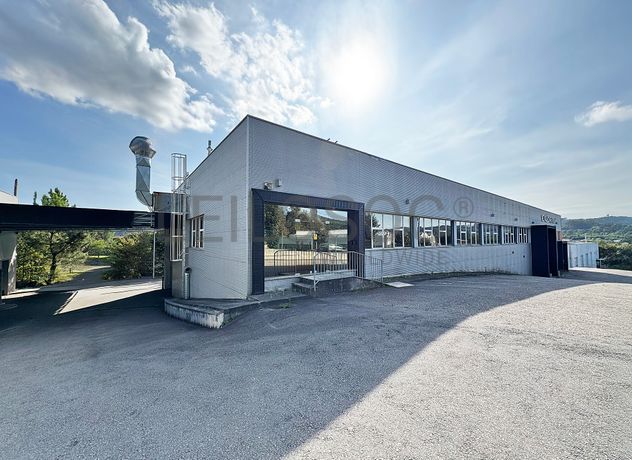 Estabelecimento Comercial · São Torcato, Guimarães