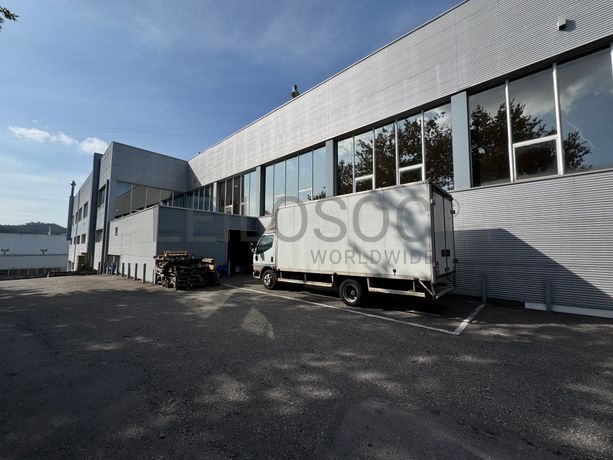 Estabelecimento Comercial · São Torcato, Guimarães