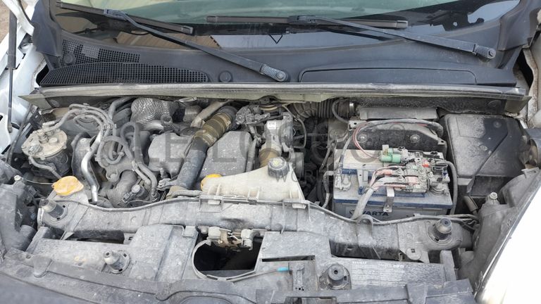 Renault Kangoo Maxi Business 1.5 DCi · Ano 2016