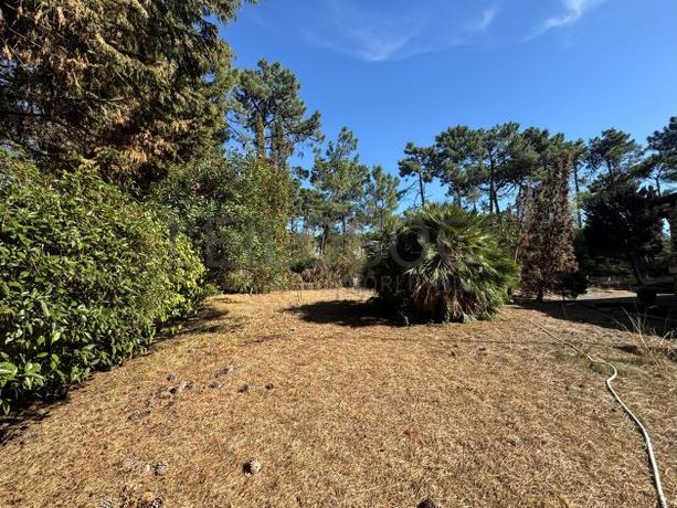 Moradia V5 com Piscina · Herdade da Aroeira, Almada