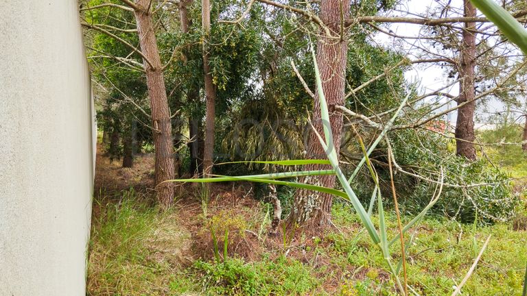 Lote de Terreno para Construção · Gaeiras, Óbidos