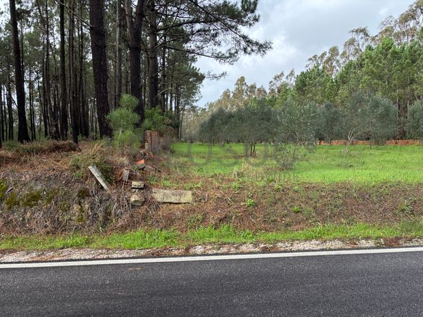Terreno para Construção · Carriço, Pombal