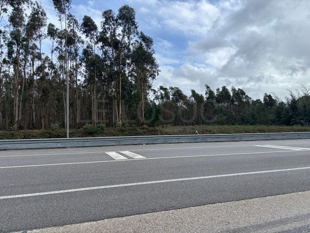 Terrenos Rústicos · Louriçal, Pombal