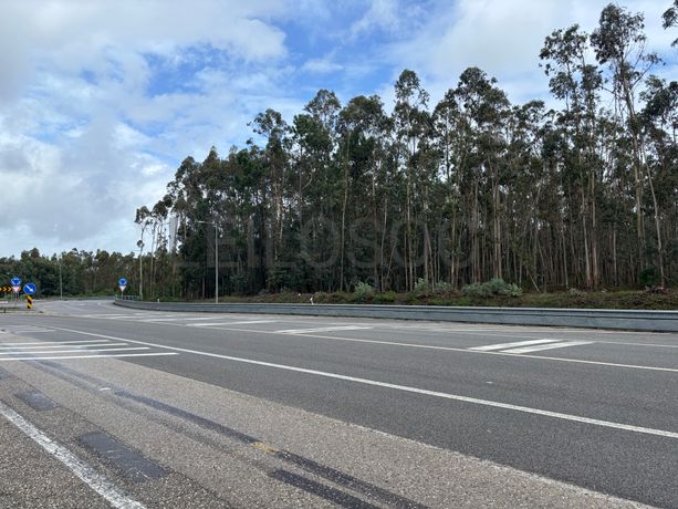 Terrenos Rústicos · Louriçal, Pombal