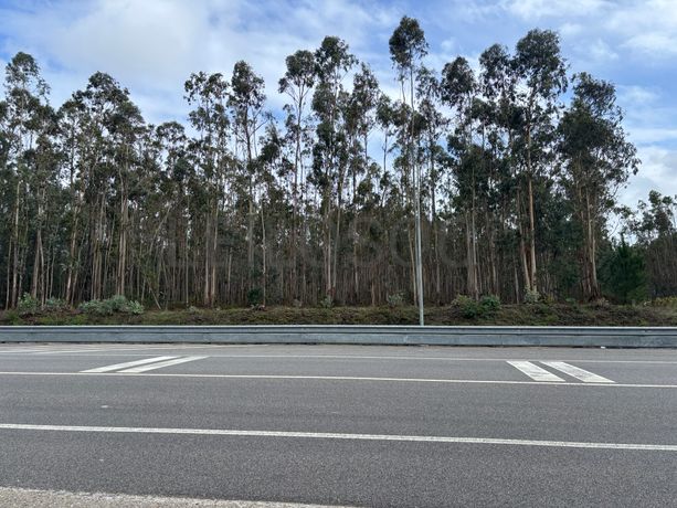 Terrenos Rústicos · Louriçal, Pombal