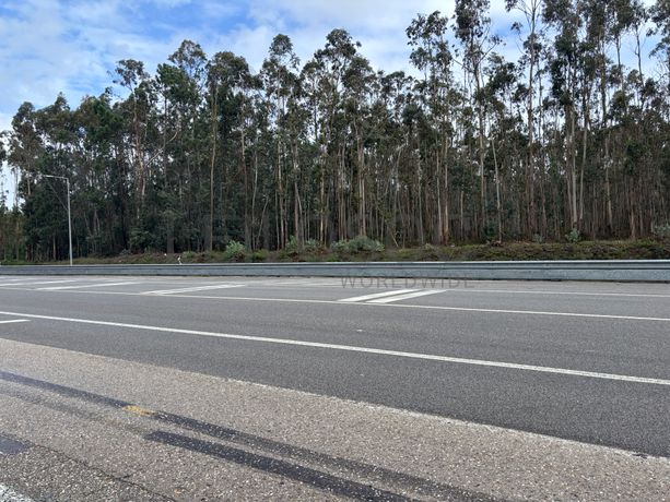 Terrenos Rústicos · Louriçal, Pombal