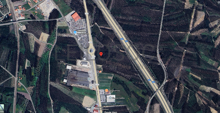 Terrenos Rústicos · Louriçal, Pombal