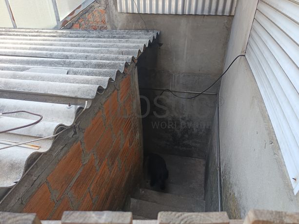 Quinhão Hereditário · Gondomar