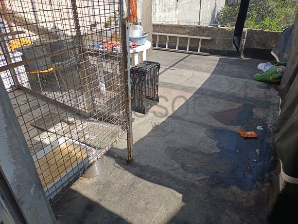 Quinhão Hereditário · Gondomar