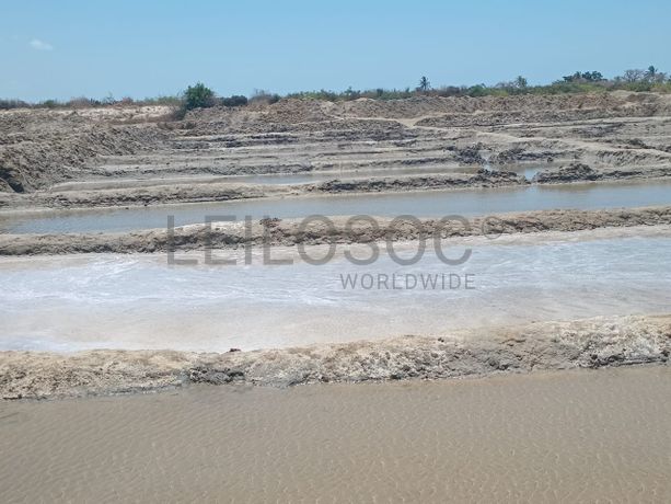 Propriedade de 15,687 ha com Salinas e Represas - Ilha de Moçambique